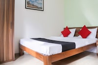 Capital O Betel Palm