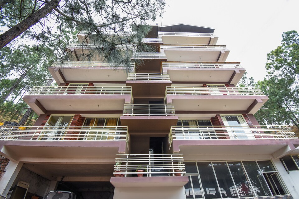 OYO 69898 The Pine Cove, Kasauli, Kasauli