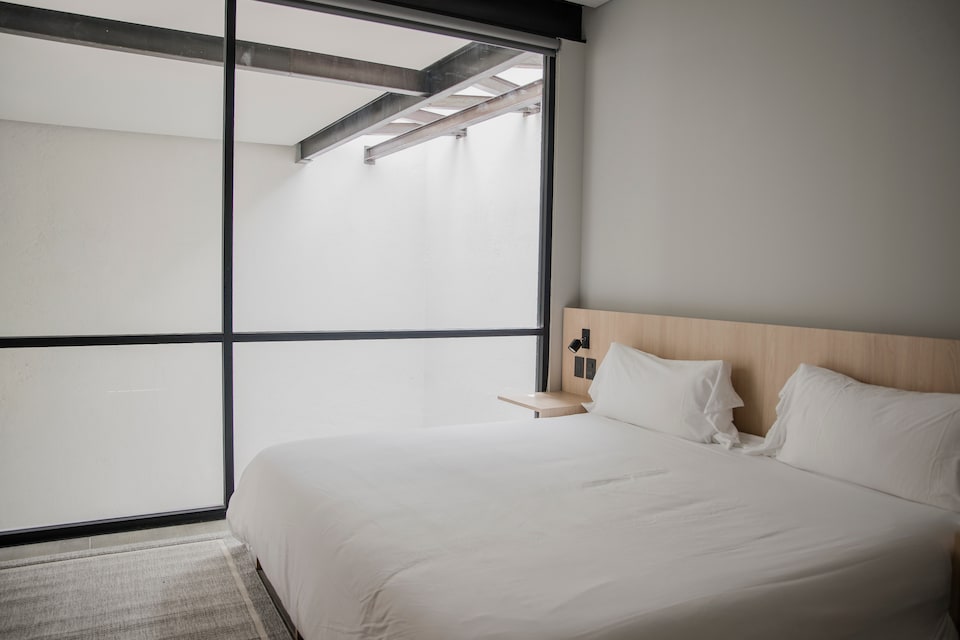 Collection O Casa Lomah, Benito Juarez, CDMX, Ciudad de Mexico