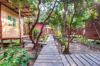 OYO 693 Tree House Cottage