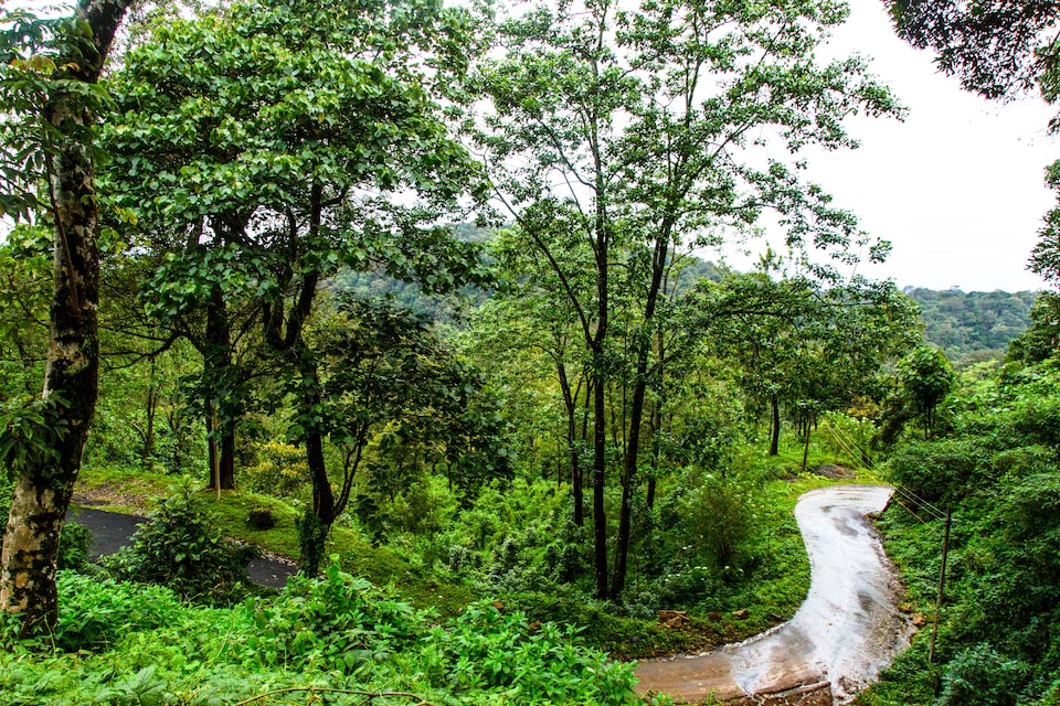 OYO 5840 Seven Springs Plantation Resort, Anachal, Munnar